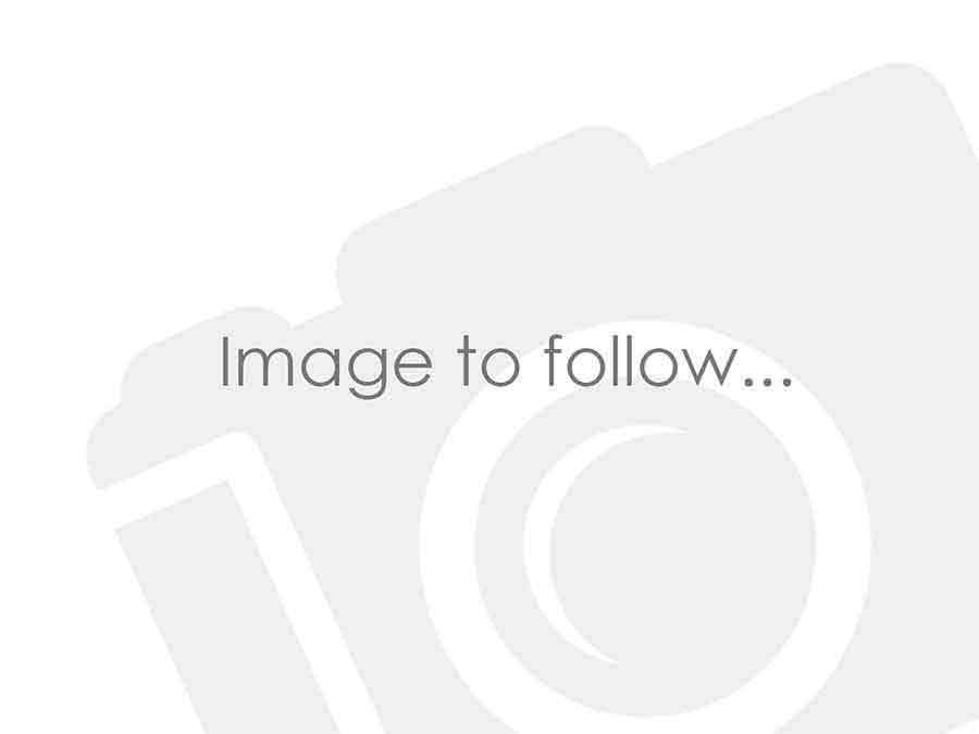 2019 Renault Trafic